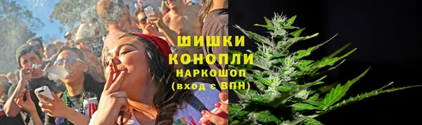 ПСИЛОЦИБИНОВЫЕ ГРИБЫ Семёнов