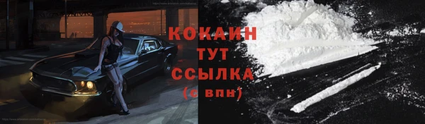 ПСИЛОЦИБИНОВЫЕ ГРИБЫ Семёнов