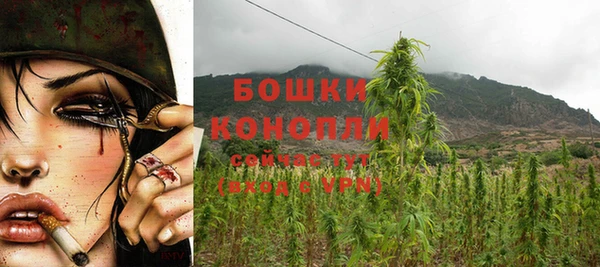 прущие грибы Слюдянка
