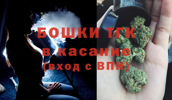 ПСИЛОЦИБИНОВЫЕ ГРИБЫ Семёнов