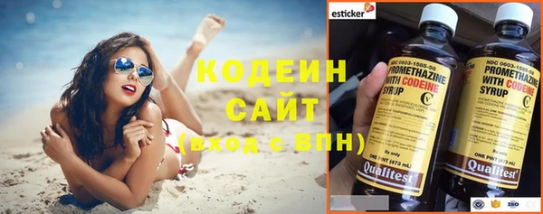 прущие грибы Слюдянка